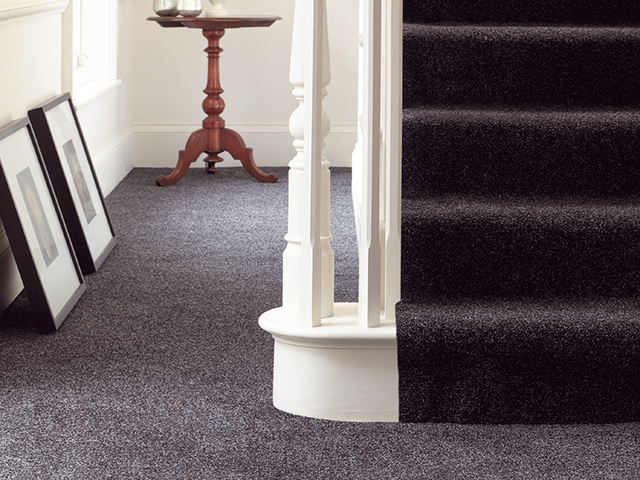 Abingdon Flooring - Stainfree Spicy - Carpet