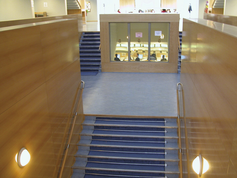 Marmoleum Acoustic - Marmoleum Flooring