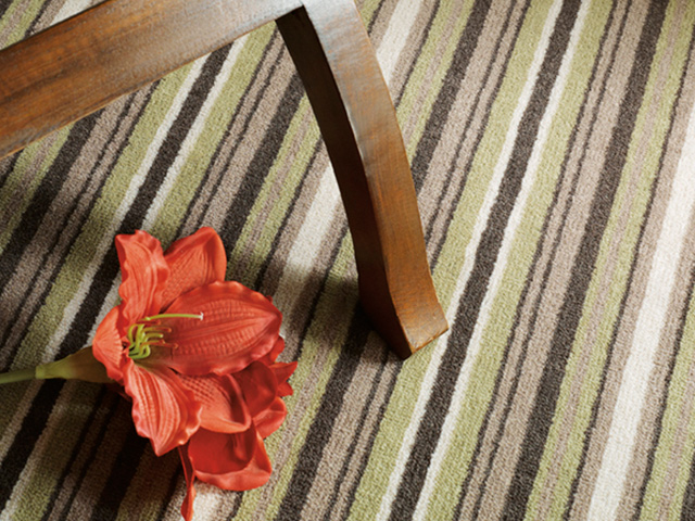 Adam Carpets - CVS12 Pampas Grass - Carpet