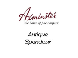 Axminster Carpets - Antiques Spendour - Carpet
