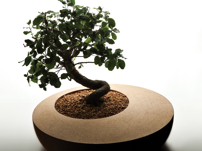 Granorte Design - Different Forms - Home - Cork Flooring