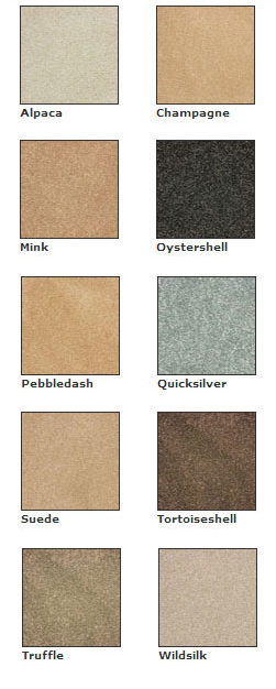 Cavalier Carpets - Stain Less Luxury - Carpet