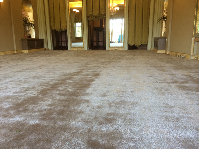 Main Area - Carpet - Office - Commercial