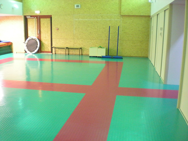 Dalsouple Rubber - Gym - Rubber Flooring