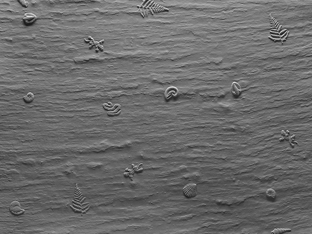 Dalsouple Rubber - Fossile Tile - Porcelain Tile Flooring - Rubber Flooring