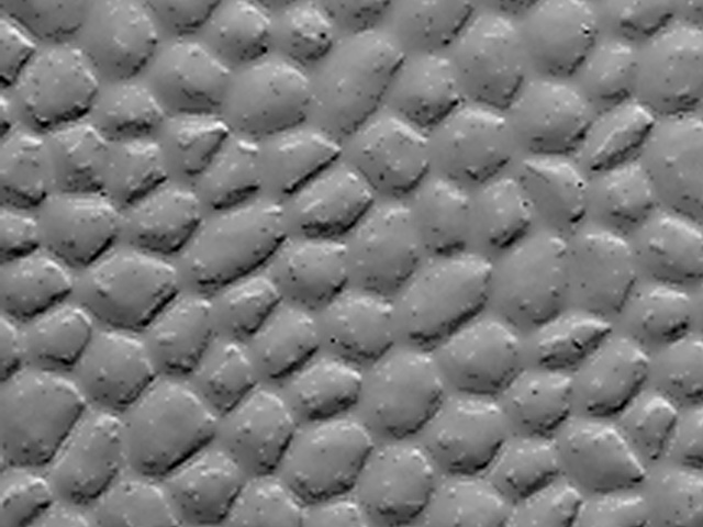 Dalsouple Rubber - Martelé - Rubber Flooring