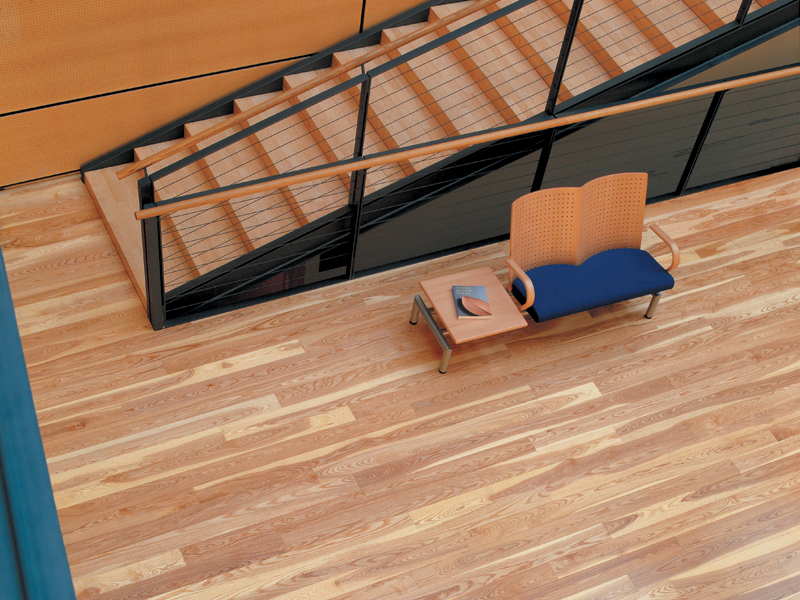 Junckers - Dark Ash - Wood Flooring