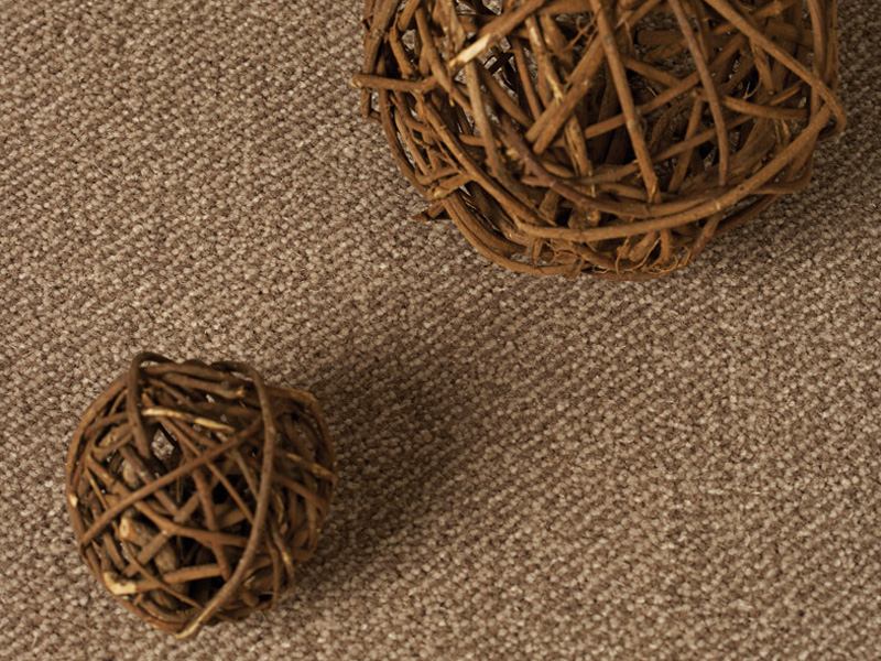 Westex Carpets - Designer Point - Carpet