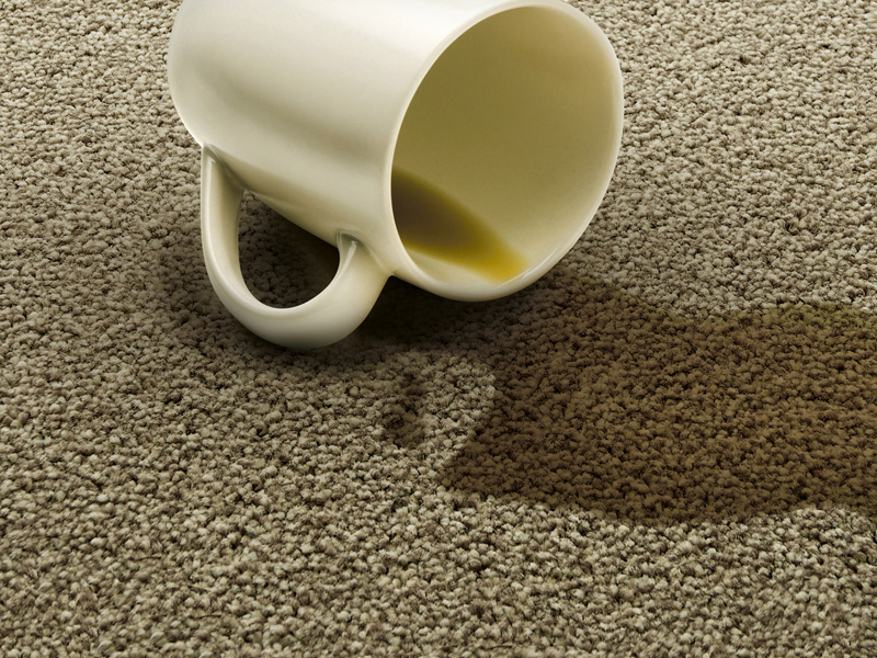 Victoria Carpets EasiCare Morton - Carpet