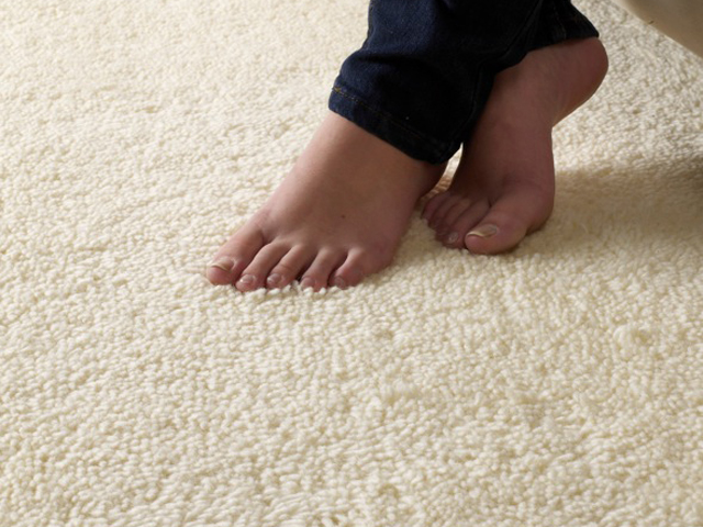 Bronte - Feet - Carpet