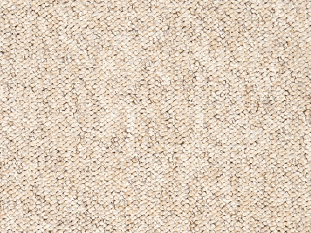 Florco - Festival Actionbac - Carpet