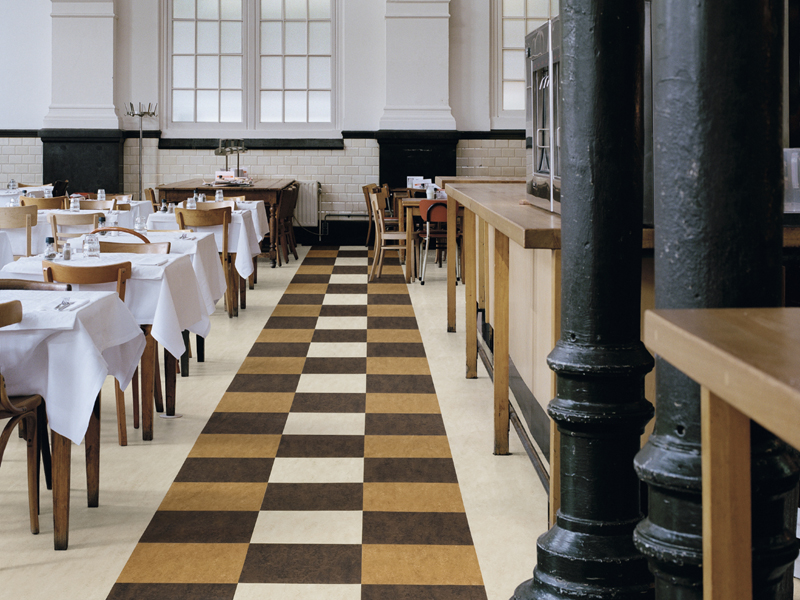 Marmoleum - Dual - Marmoleum Flooring