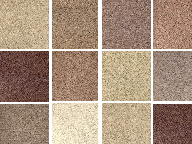 Kingsmead Glascote Plains - Carpet