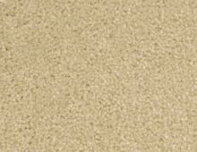 Gaskell Woolrich - English Plain Velvet Range - Carpet