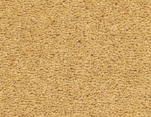 Gaskell Woolrich Summer Breeze Deluxe - Carpet