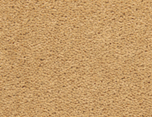 Gaskell Woolrich Summer Garden Supreme - Carpet