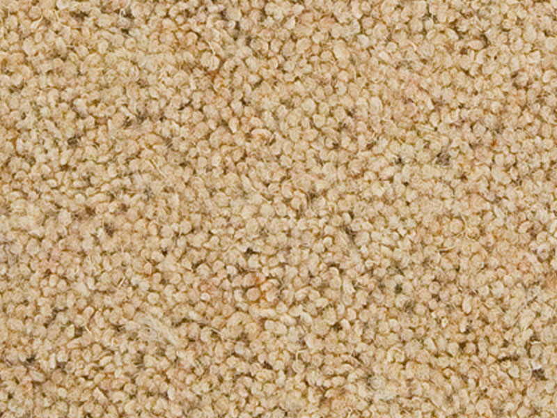 Kingsmead Greenwich - Carpet