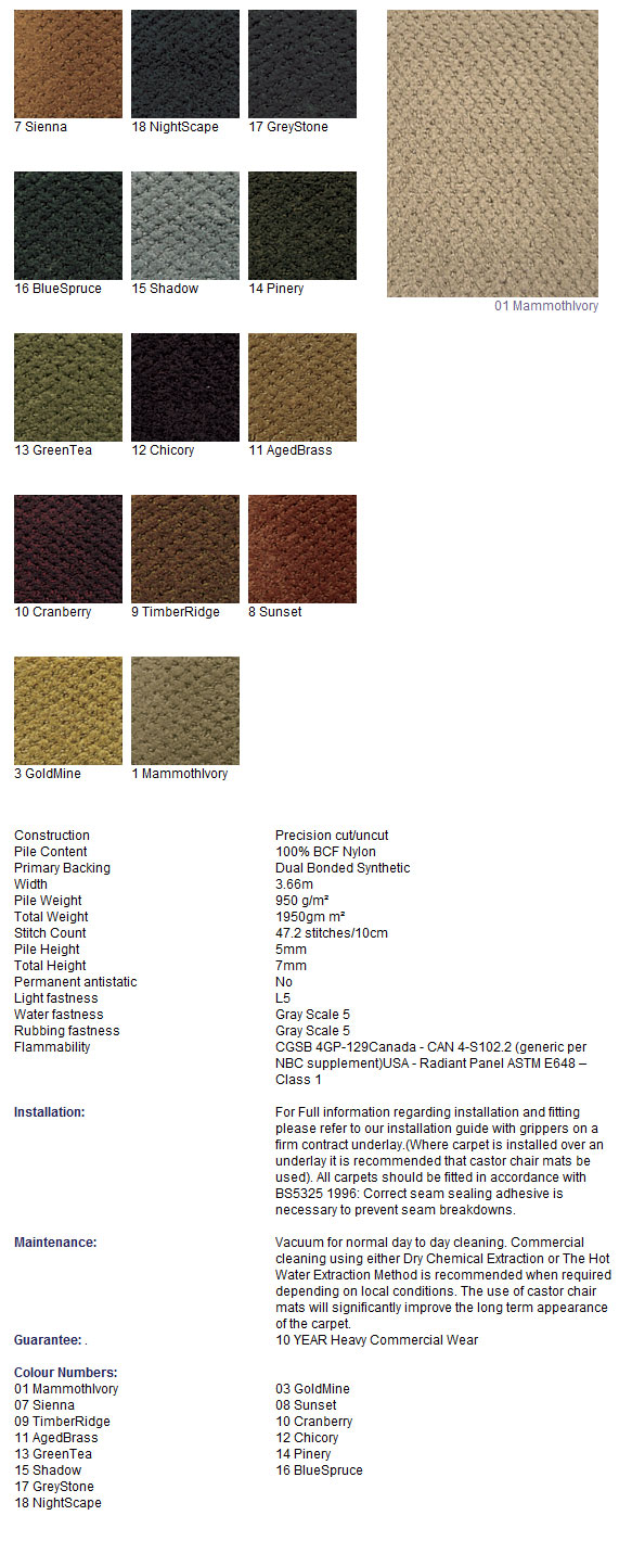 Joseph Hamilton Seaton Carpets - Capital City - Carpet