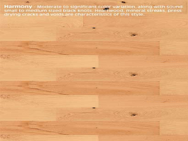 Junckers Beech Harmony - Wood Flooring