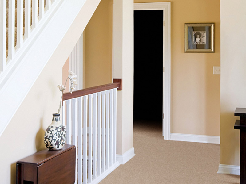 Kingsmead Carpet Ayrshire - Carpet
