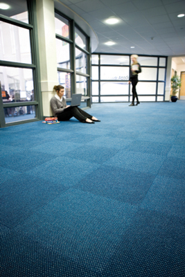 Heckmondwike - Carpet 17365 - Carpet