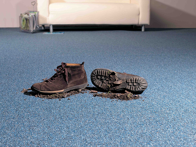 Lano Carpet - Forum - Carpet