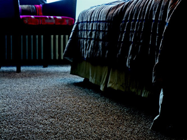 Lano Carpet - Pearl - Carpet