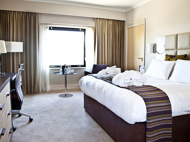 Lano Carpet - Suite - Carpet