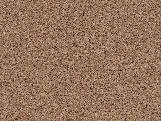 Mr Tomkinson - Tomkinson Berber Elite - Carpet