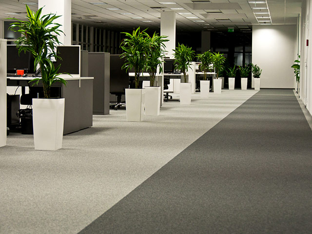 Paragon Flooring - Diversity - Carpet