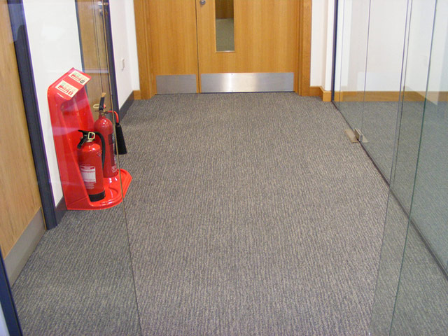 Paragon Flooring - Oriental - Carpet