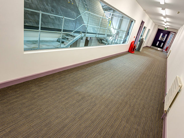 Paragon Flooring - Orion - Carpet