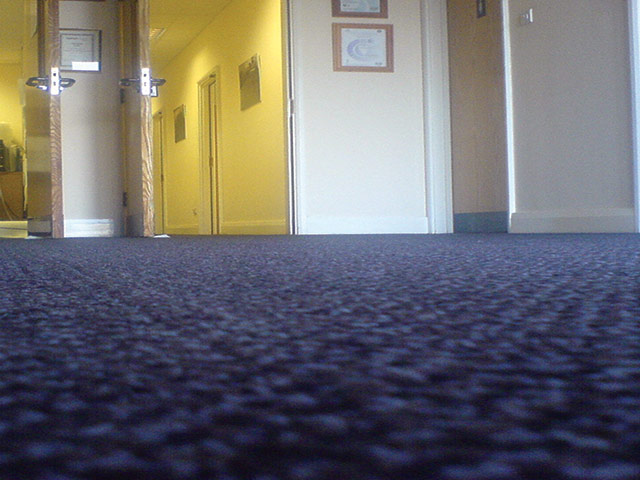 Paragon Flooring - Premier - Carpet