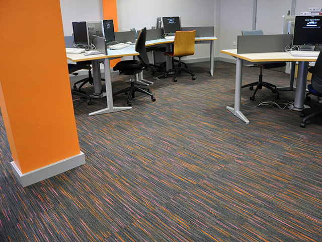 Paragon Flooring - Strobe - Carpet