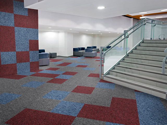 Paragon Flooring - Toccarre - Carpet