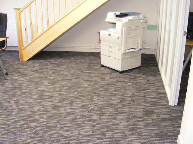 Paragon Flooring - Vantage - Carpet