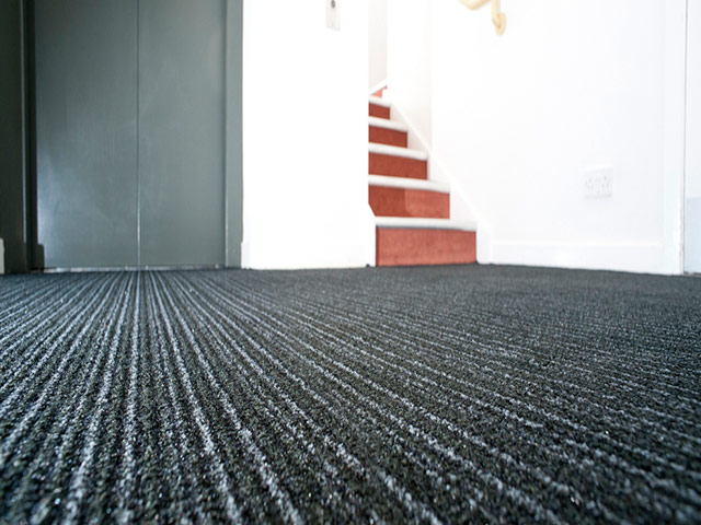 Paragon Flooring - Vista - Carpet
