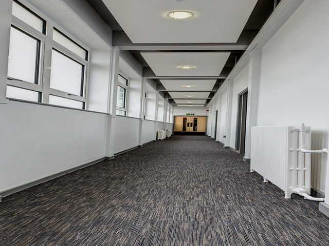Paragon Flooring - Workspace Linear - Carpet