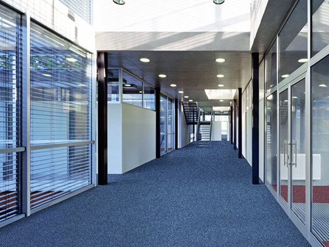 Paragon Flooring - Colourquest - Carpet