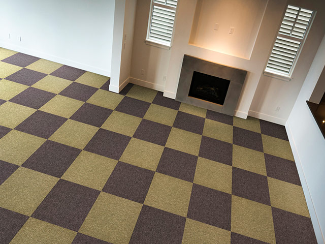 Paragon Flooring - Macaw Stripe - Carpet