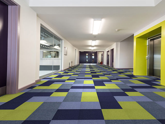 Paragon Flooring - Solaris - Carpet