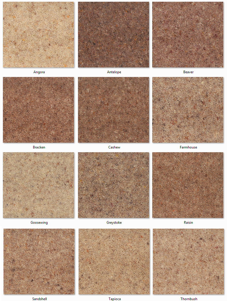 Regency Carpets - Carleton - Carpet