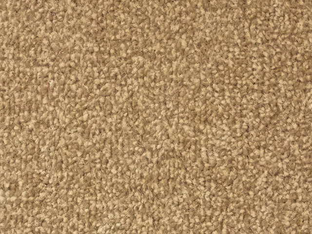 Regency Carpets - Celebration - Carpet