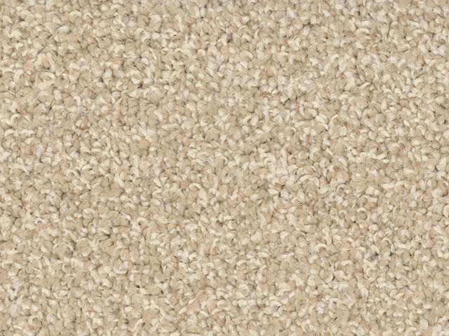 Regency Carpets - Devotion - Carpet
