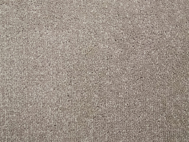 Regency Carpets - Harewood - Carpet - Wood Flooring