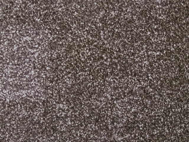 Regency Carpets - Noblesque - Carpet