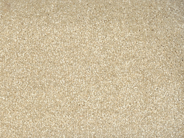 Regency Carpets - Trident - Carpet