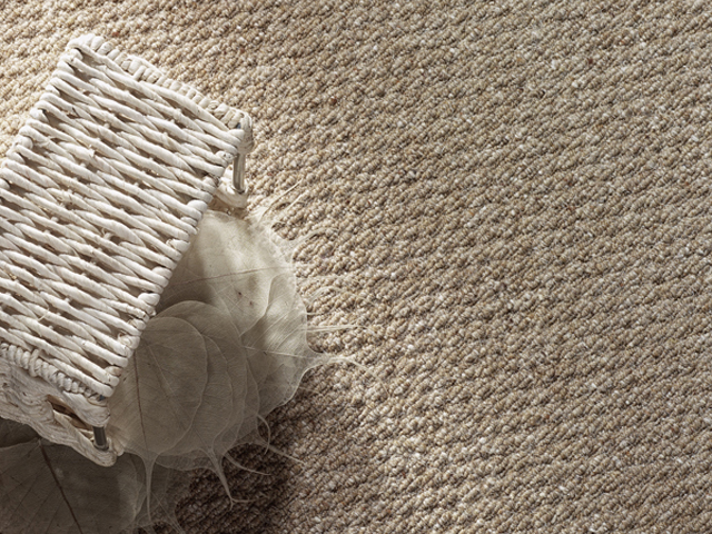 Cavalier Carpets - Shepherds Collection - Carpet Cavalier Carpets - Shepherds Collection - Carpet