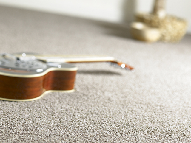 Cavalier Carpets - Stain Less Luxury - Carpet