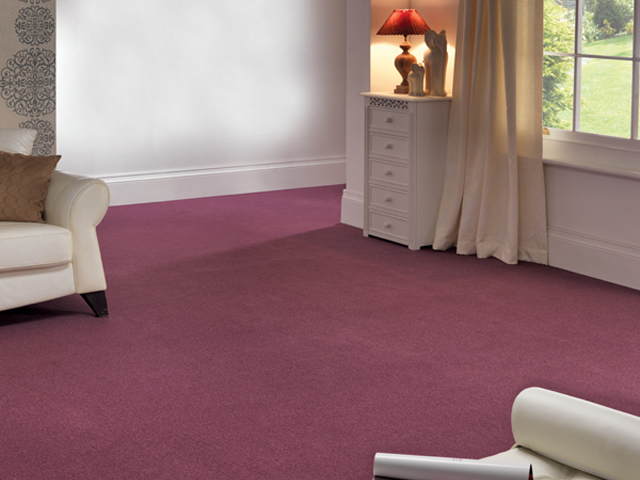 Cavalier Carpets - Stain Less Spice - Carpet Cavalier Carpets - Stain Less Spice - Carpet